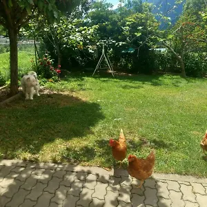  Casa vacanze Casa Sergio Italia
